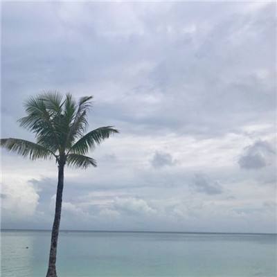 智龙迷域bt变态版下载
