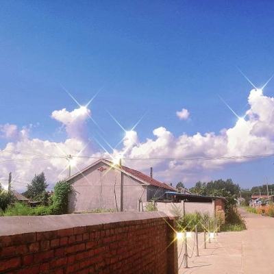 全民钓鱼7.3无限钻石下载