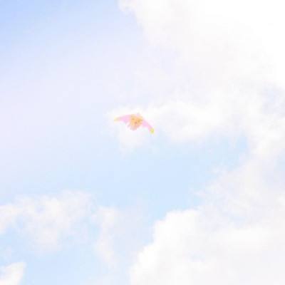 虚构世界2信条谷游戏