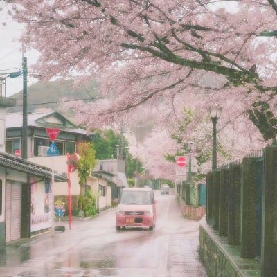 莽荒仙纪官方
