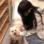 龙卷风大乱斗破解版下载